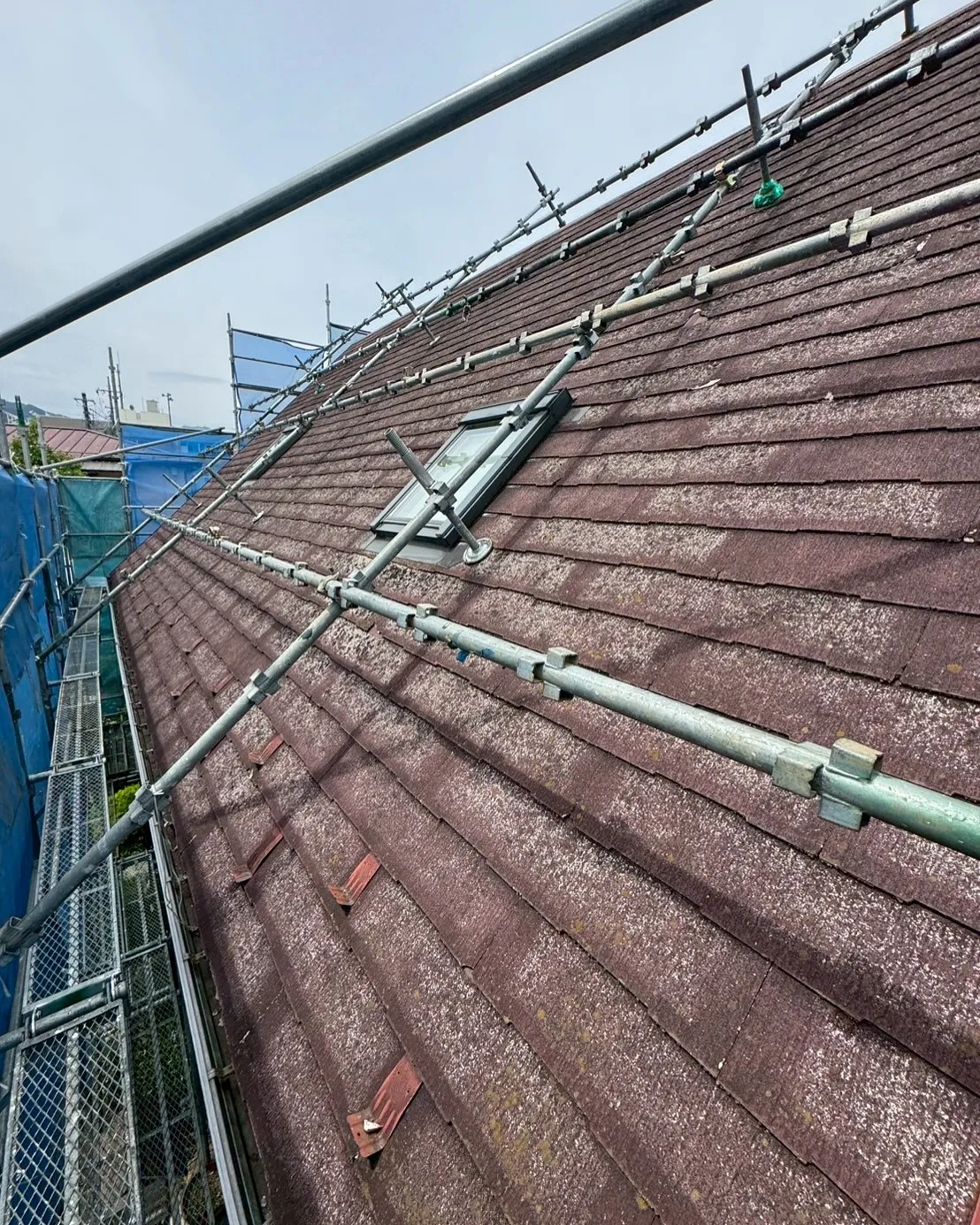 秩父市　ディプロマットスター